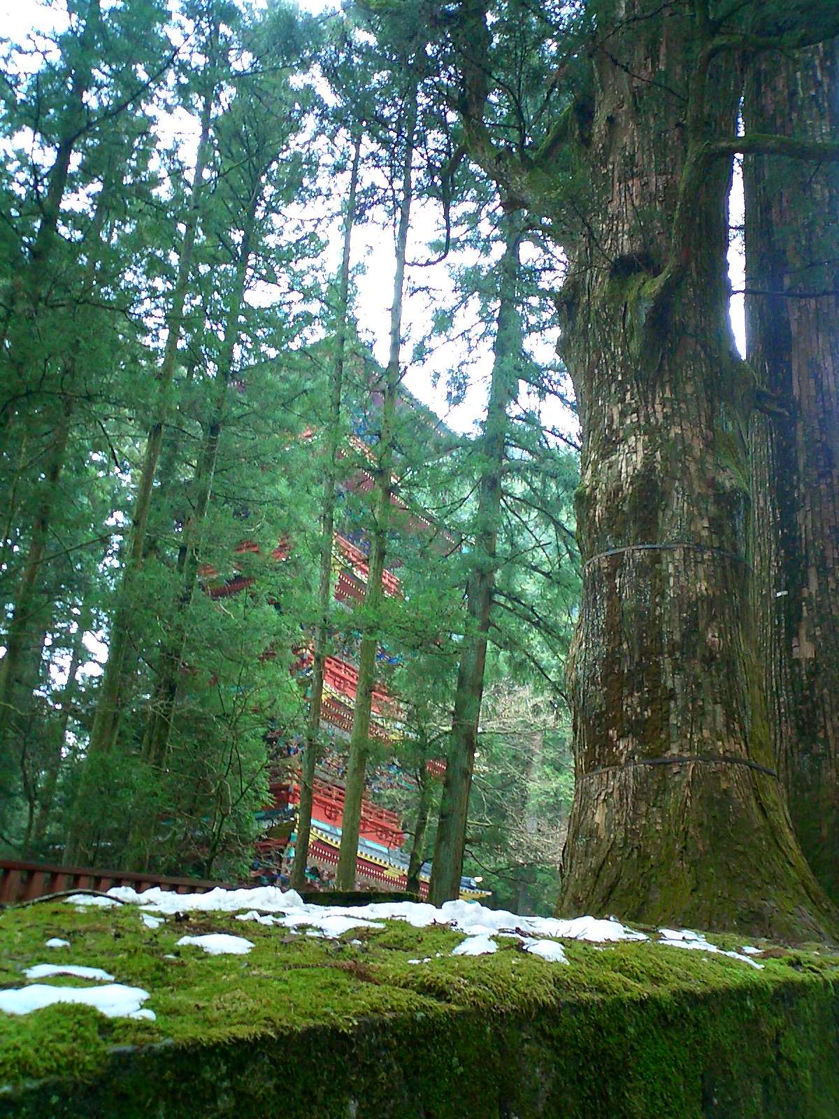 Tochigi Nikko